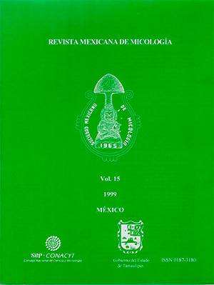 					Ver Núm. 15 (1999): RMM núm. 15 1999
				