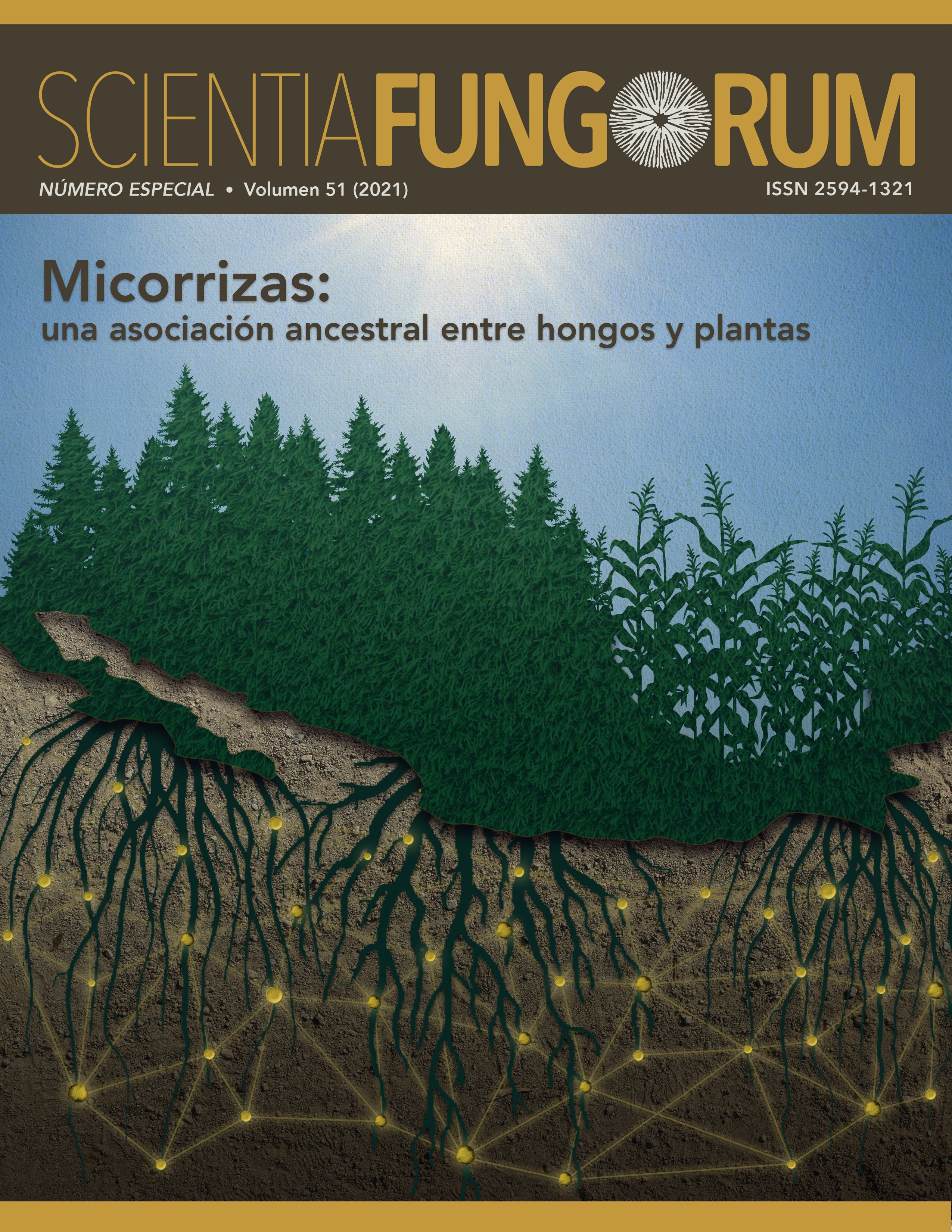 					Ver Vol. 51 (2021): Micorrizas: una asociación ancestral entre hongos y plantas
				